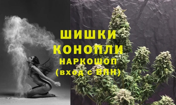 хмурый Калининец