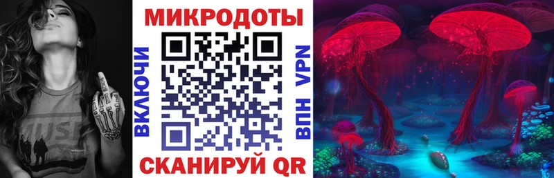 купить наркотики цена  Карачаевск  Галлюциногенные грибы Cubensis 